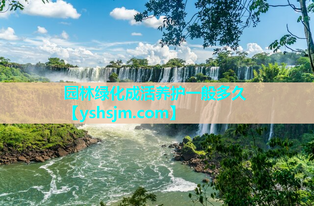 園林綠化成活養護一般多久