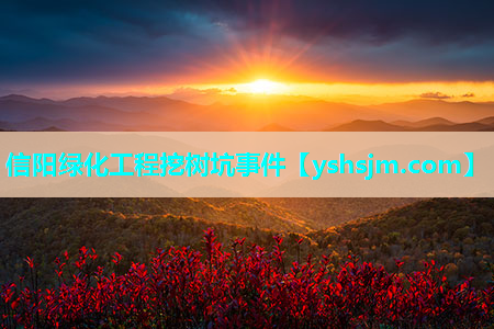 信陽綠化工程挖樹坑事件