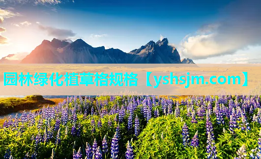 園林綠化植草格規(guī)格