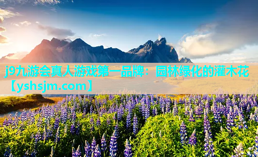 j9九游會(huì)真人游戲第一品牌：園林綠化的灌木花