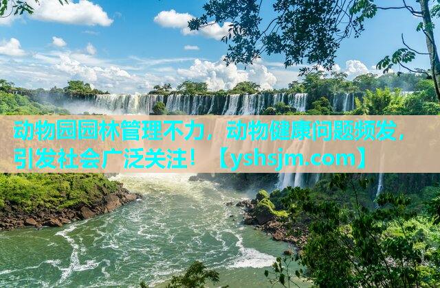 動(dòng)物園園林管理不力，動(dòng)物健康問(wèn)題頻發(fā)，引發(fā)社會(huì)廣泛關(guān)注！