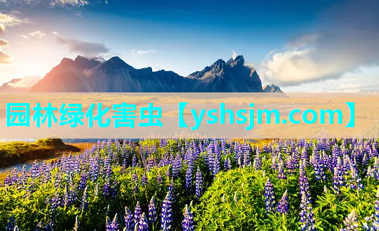 園林綠化害蟲