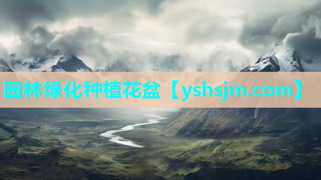 園林綠化種植花盆