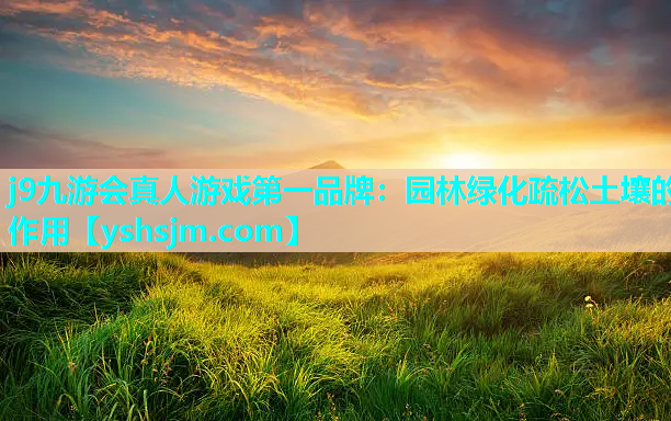 j9九游會真人游戲第一品牌：園林綠化疏松土壤的作用