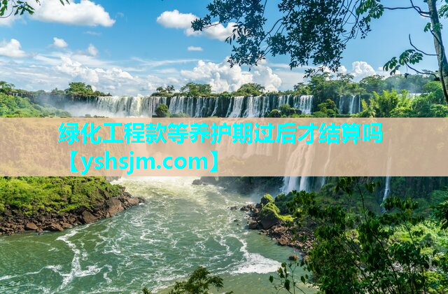 綠化工程款等養護期過后才結算嗎