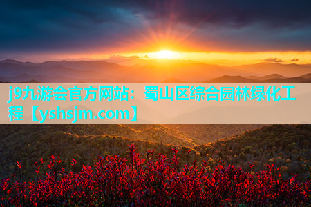 j9九游會官方網(wǎng)站：蜀山區(qū)綜合園林綠化工程