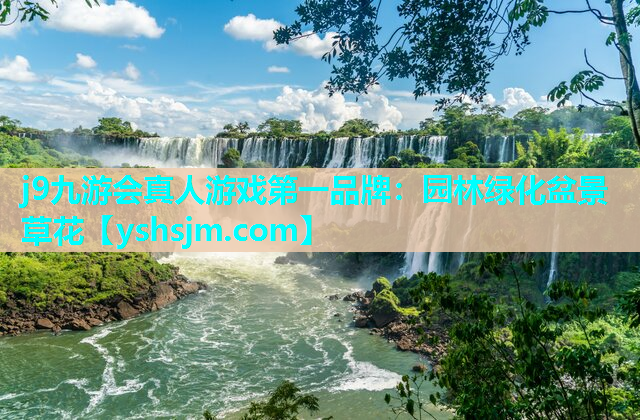 j9九游會真人游戲第一品牌：園林綠化盆景草花